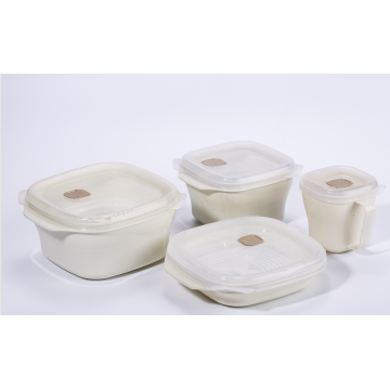 Plastikmahlzeit-Container-Lunchbox mit Deckel